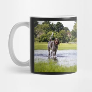 Flooded field Spinoni Mug